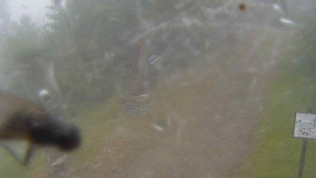 Snímek    4.7.2025 v 08:40