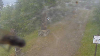 Snímek    7.7.2025 v 06:45