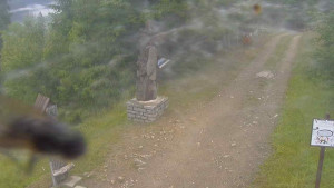 Skiareál Bílá - Bílá - běžecká trať - 12.7.2025 v 06:55