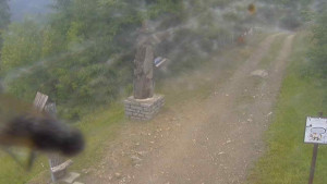 Skiareál Bílá - Bílá - běžecká trať - 12.7.2025 v 08:55