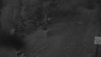 Snímek    12.7.2025 v 21:25