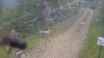 Snímek    16.7.2025 v 16:40