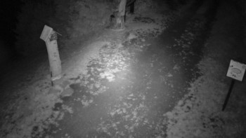 Snímek    11.9.2025 v 21:00