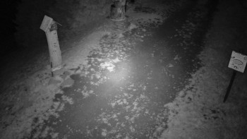 Snímek    13.9.2025 v 20:00