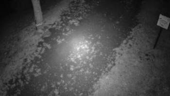 Snímek    13.9.2025 v 23:00