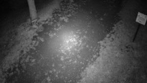 Skiareál Bílá - Bílá - běžecká trať - 15.9.2025 v 01:00