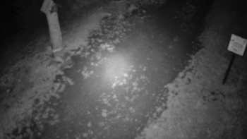 Snímek    16.9.2025 v 00:00