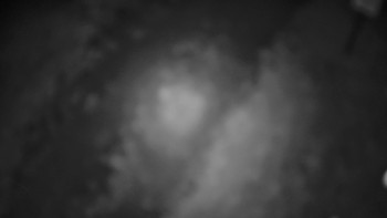 Snímek    17.9.2025 v 04:30