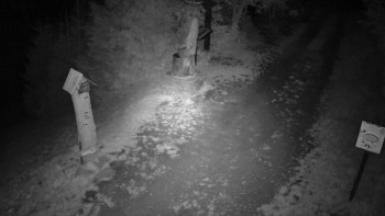 Snímek    17.9.2025 v 21:00