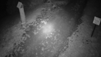 Snímek    18.9.2025 v 21:30