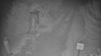 Snímek    14.10.2025 v 21:00