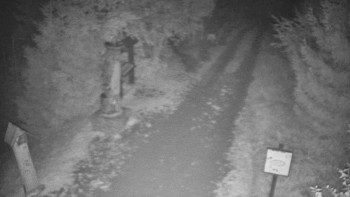 Snímek    16.10.2025 v 06:00