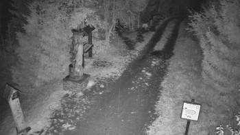 Snímek    26.10.2025 v 00:30
