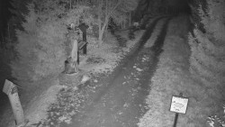 Bílá - běžecká trať