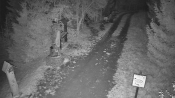 Snímek    31.10.2025 v 02:30