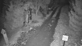 Snímek    31.10.2025 v 20:00