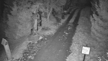 Snímek    31.10.2025 v 21:00