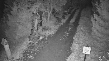 Snímek    1.11.2025 v 05:00