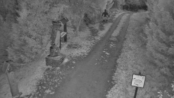 Snímek    1.11.2025 v 06:00