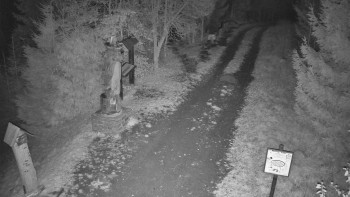 Snímek    1.11.2025 v 17:30