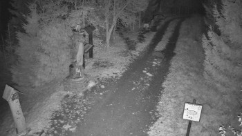 Snímek    1.11.2025 v 21:00