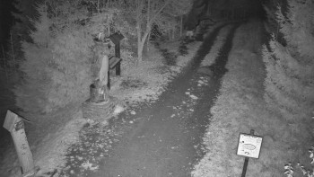 Snímek    2.11.2025 v 03:30