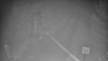 Snímek    3.11.2025 v 03:30