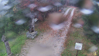 Snímek    3.11.2025 v 07:00