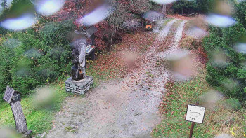 Snímek    3.11.2025 v 12:00