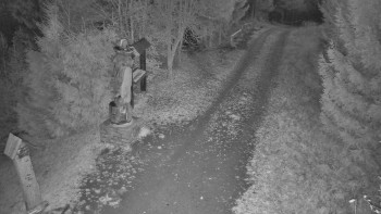 Snímek 6.11.2025 v 06:00