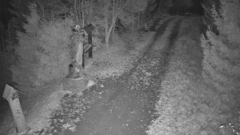 Snímek 6.11.2025 v 20:00