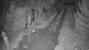 Skiareál Bílá - Bílá - běžecká trať - 7.11.2025 v 01:30 Skiareál Bílá - Bílá - běžecká trať - 7.11.2025 v 01:30