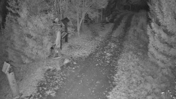 Snímek 7.11.2025 v 17:00