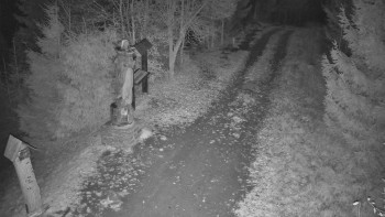 Snímek 7.11.2025 v 20:00