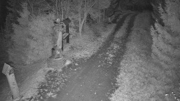 Snímek 8.11.2025 v 03:30