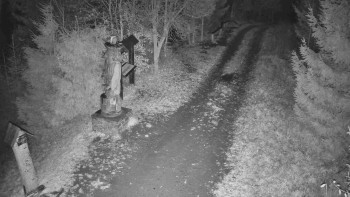 Snímek 8.11.2025 v 23:00