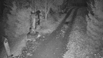 Snímek    9.11.2025 v 03:00