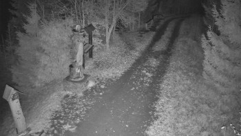 Snímek    10.11.2025 v 19:30