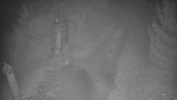 Bílá - běžecká trať