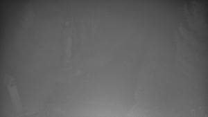 Skiareál Bílá - Bílá - běžecká trať - 14.11.2025 v 01:30 Skiareál Bílá - Bílá - běžecká trať - 14.11.2025 v 01:30