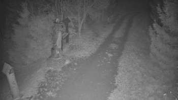 Snímek    14.11.2025 v 05:00