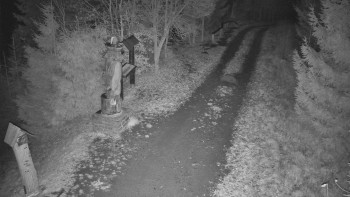 Snímek    14.11.2025 v 22:30