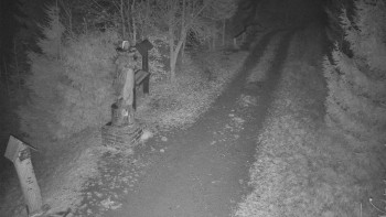 Snímek 15.11.2025 v 20:00