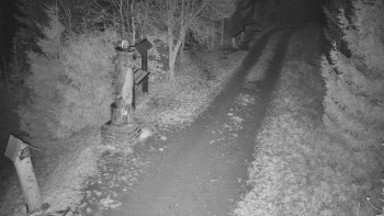 Snímek 16.11.2025 v 03:00