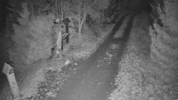 Snímek 16.11.2025 v 19:30