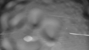 Snímek 17.11.2025 v 21:30