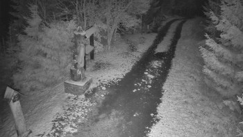 Snímek    18.11.2025 v 06:00