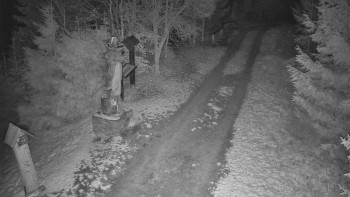 Snímek    19.11.2025 v 17:00