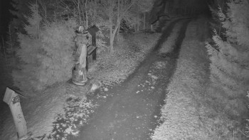 Snímek    20.11.2025 v 18:30