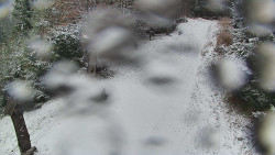 Bílá - běžecká trať